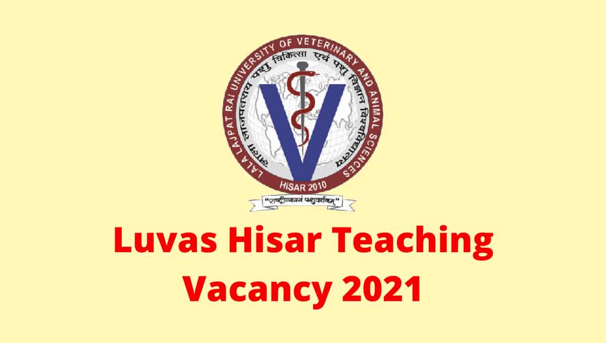 Luvas Hisar Recruitment 2021