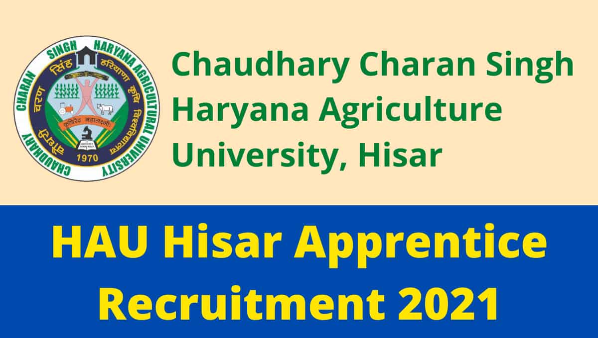 HAU Hisar Apprentice Recruitment 2021 Apply Online