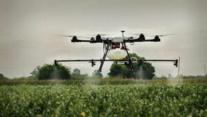 Drone will spray fertilizer in Haryana