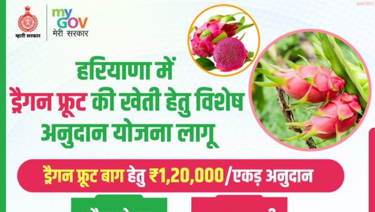 Haryana Dragon Fruit Farming Yojana 2022 – किसानों को मिलेगा विशेष अनुदान, सरकार ने लागू की योजना