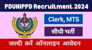 PDUNIPPD Recruitment